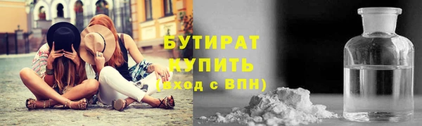 прущие грибы Верея