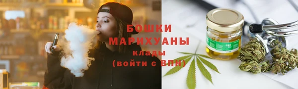 прущие грибы Верея