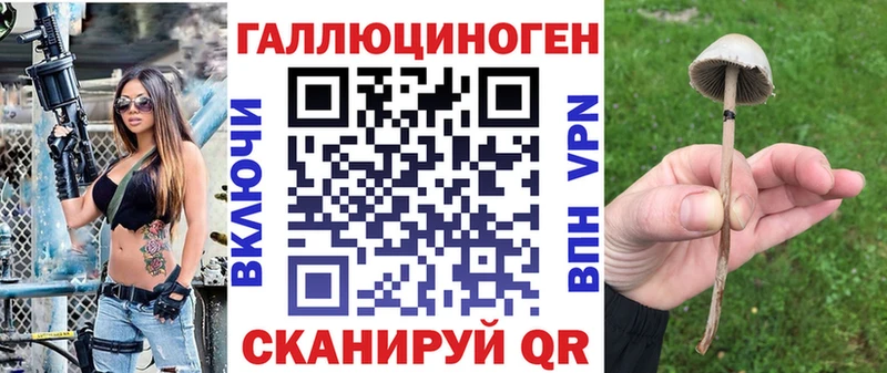 Купить закладки  Иваново  Псилоцибиновые грибы Magic Shrooms 